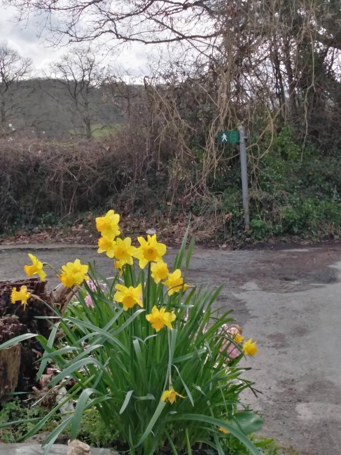 The Mill Cottage Llechryd Экстерьер фото