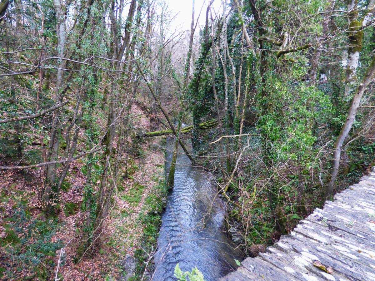 The Mill Cottage Llechryd Экстерьер фото